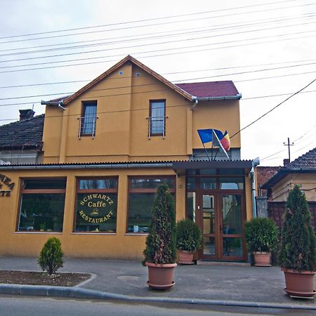 Pensiunea Schwartz Cluj-Napoca Luaran gambar