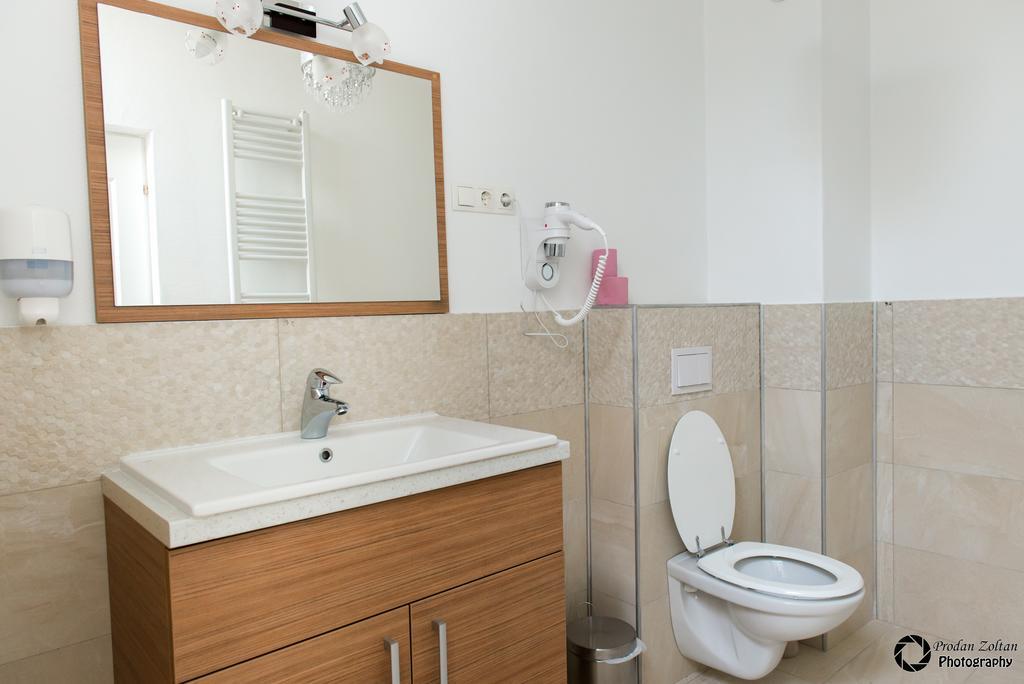 Pensiunea Schwartz Cluj-Napoca Luaran gambar