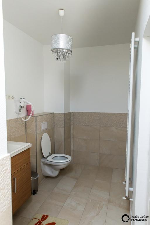 Pensiunea Schwartz Cluj-Napoca Luaran gambar