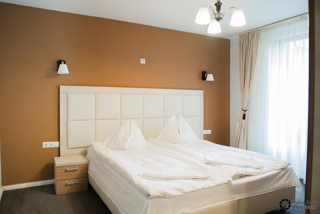 Pensiunea Schwartz Cluj-Napoca Luaran gambar