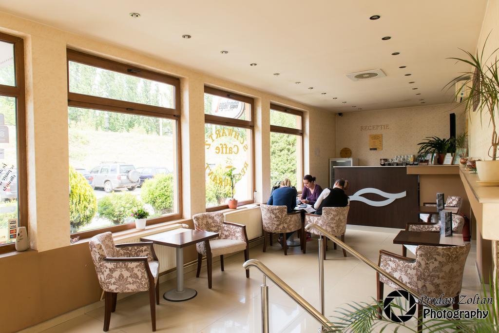 Pensiunea Schwartz Cluj-Napoca Luaran gambar