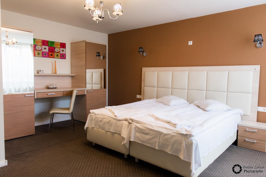 Pensiunea Schwartz Cluj-Napoca Bilik gambar