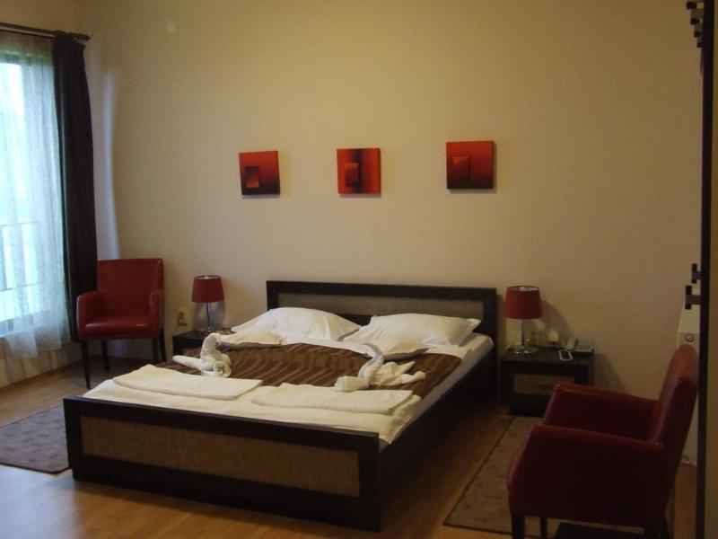 Pensiunea Schwartz Cluj-Napoca Luaran gambar